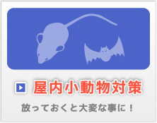 屋内小動物対策